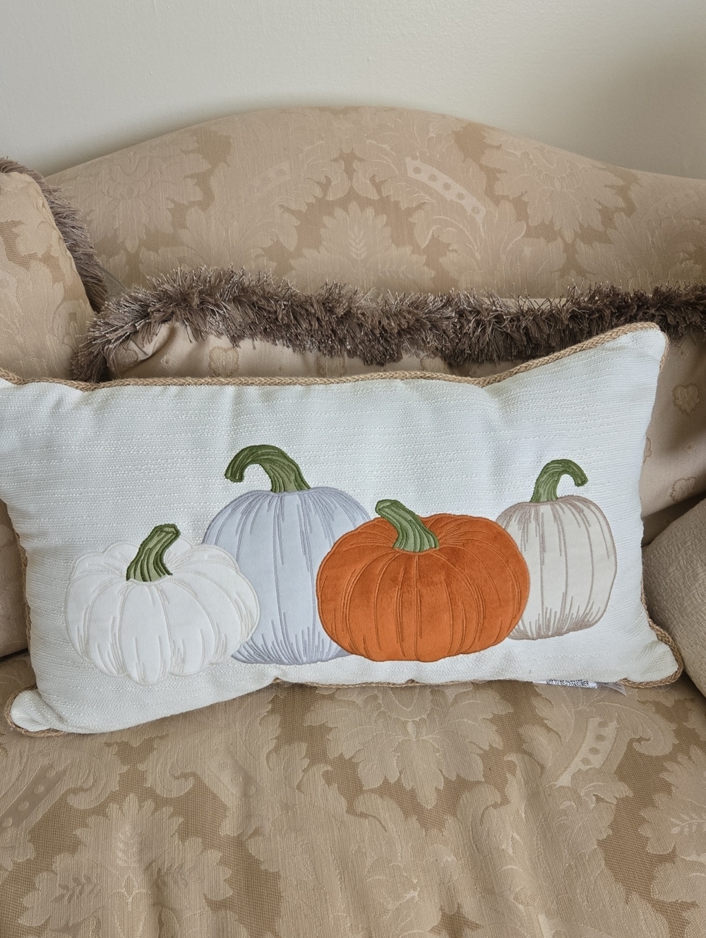 Suade Pumpkin Quartete 23 X 12" Pillow